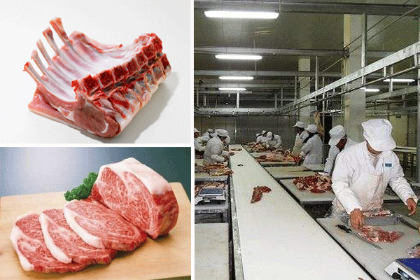 牛羊肉类加工